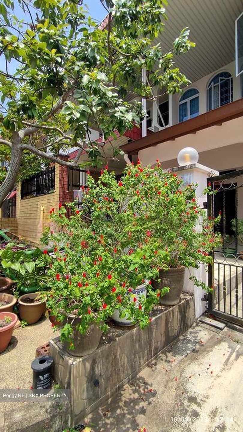 Peakview Estate (D16), Terrace #513531701